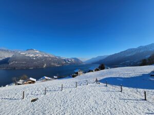 Aussicht Interlaken