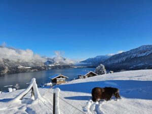 Aussicht nach Interlaken